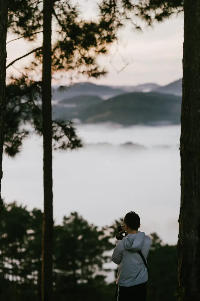 A photographer standing among pine trees above a sea of clouds
